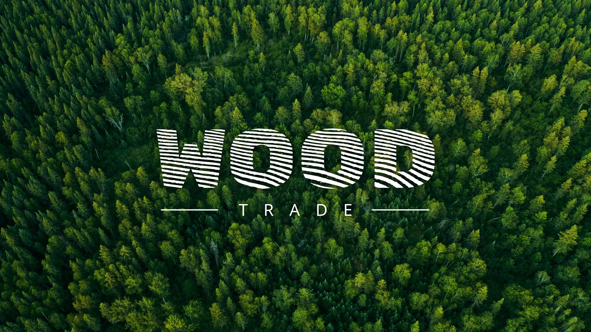 Разработка интернет-магазина компании «Wood Trade» в Кировске